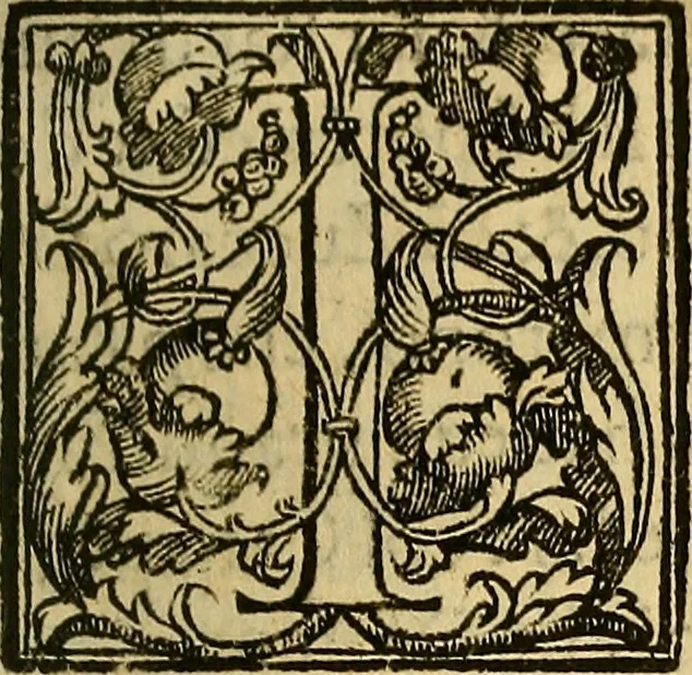 An illustration from Trattato di Christoforo Acosta Africano medico, & chirurgo della historia, natura, et virtu delle droghe medicinali, & altri semplici rarissimi, che vengono portati dalle Indie Orientali in Europa : con le figures delle piante ritratte, & disegnate dal viuo poste a' luoghi proprij ; nuouamente recato dalla Spagnuola nella nostra lingua .., 1585, leaf 332