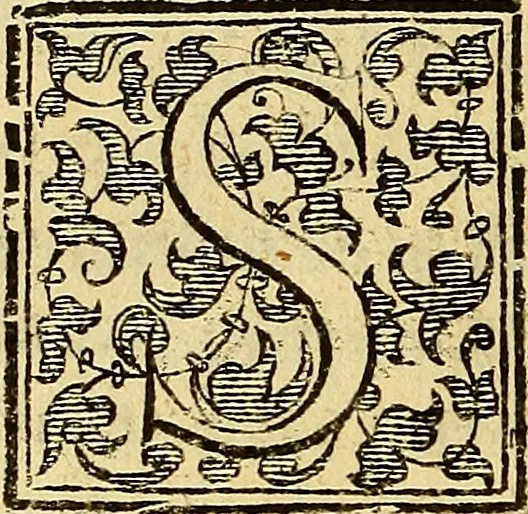 An illustration from Trattato di Christoforo Acosta Africano medico, & chirurgo della historia, natura, et virtu delle droghe medicinali, & altri semplici rarissimi, che vengono portati dalle Indie Orientali in Europa : con le figures delle piante ritratte, & disegnate dal viuo poste a' luoghi proprij ; nuouamente recato dalla Spagnuola nella nostra lingua .., 1585, leaf 345