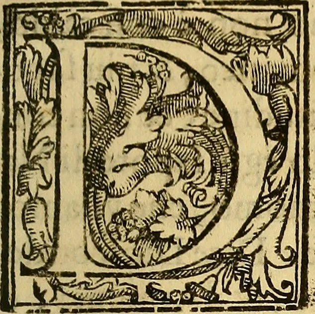 An illustration from Trattato di Christoforo Acosta Africano medico, & chirurgo della historia, natura, et virtu delle droghe medicinali, & altri semplici rarissimi, che vengono portati dalle Indie Orientali in Europa : con le figures delle piante ritratte, & disegnate dal viuo poste a' luoghi proprij ; nuouamente recato dalla Spagnuola nella nostra lingua .., 1585, leaf 350