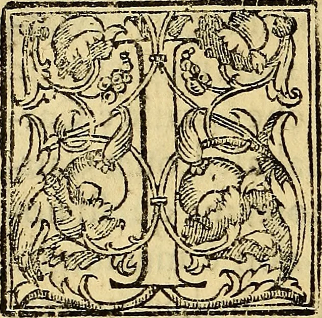 An illustration from Trattato di Christoforo Acosta Africano medico, & chirurgo della historia, natura, et virtu delle droghe medicinali, & altri semplici rarissimi, che vengono portati dalle Indie Orientali in Europa : con le figures delle piante ritratte, & disegnate dal viuo poste a' luoghi proprij ; nuouamente recato dalla Spagnuola nella nostra lingua .., 1585, leaf 357