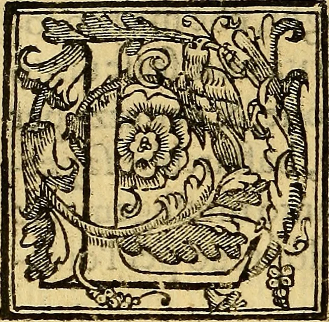 An illustration from Trattato di Christoforo Acosta Africano medico, & chirurgo della historia, natura, et virtu delle droghe medicinali, & altri semplici rarissimi, che vengono portati dalle Indie Orientali in Europa : con le figures delle piante ritratte, & disegnate dal viuo poste a' luoghi proprij ; nuouamente recato dalla Spagnuola nella nostra lingua .., 1585, leaf 361