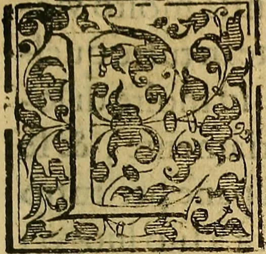 An illustration from Trattato di Christoforo Acosta Africano medico, & chirurgo della historia, natura, et virtu delle droghe medicinali, & altri semplici rarissimi, che vengono portati dalle Indie Orientali in Europa : con le figures delle piante ritratte, & disegnate dal viuo poste a' luoghi proprij ; nuouamente recato dalla Spagnuola nella nostra lingua .., 1585, leaf 366
