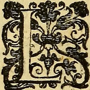 An illustration from Trattato di Christoforo Acosta Africano medico, & chirurgo della historia, natura, et virtu delle droghe medicinali, & altri semplici rarissimi, che vengono portati dalle Indie Orientali in Europa : con le figures delle piante ritratte, & disegnate dal viuo poste a' luoghi proprij ; nuouamente recato dalla Spagnuola nella nostra lingua .., 1585, leaf 367