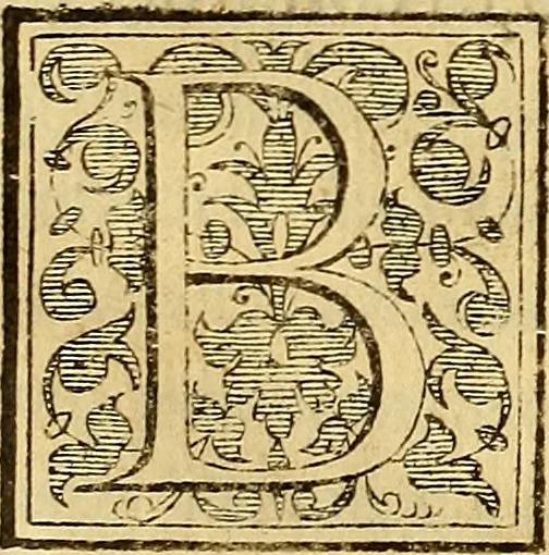An illustration from Trattato di Christoforo Acosta Africano medico, & chirurgo della historia, natura, et virtu delle droghe medicinali, & altri semplici rarissimi, che vengono portati dalle Indie Orientali in Europa : con le figures delle piante ritratte, & disegnate dal viuo poste a' luoghi proprij ; nuouamente recato dalla Spagnuola nella nostra lingua .., 1585, leaf 373