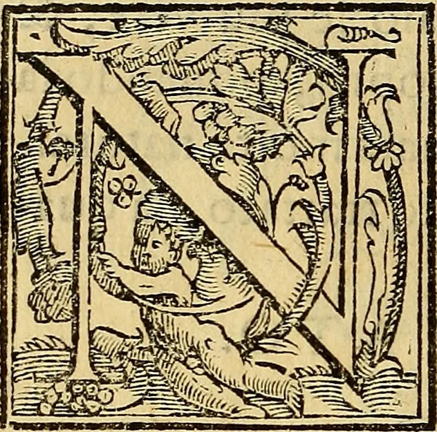 An illustration from Trattato di Christoforo Acosta Africano medico, & chirurgo della historia, natura, et virtu delle droghe medicinali, & altri semplici rarissimi, che vengono portati dalle Indie Orientali in Europa : con le figures delle piante ritratte, & disegnate dal viuo poste a' luoghi proprij ; nuouamente recato dalla Spagnuola nella nostra lingua .., 1585, leaf 375
