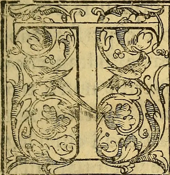 An illustration from Trattato di Christoforo Acosta Africano medico, & chirurgo della historia, natura, et virtu delle droghe medicinali, & altri semplici rarissimi, che vengono portati dalle Indie Orientali in Europa : con le figures delle piante ritratte, & disegnate dal viuo poste a' luoghi proprij ; nuouamente recato dalla Spagnuola nella nostra lingua .., 1585, leaf 48