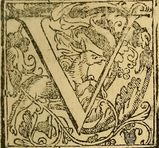 An illustration from Trattato di Christoforo Acosta Africano medico, & chirurgo della historia, natura, et virtu delle droghe medicinali, & altri semplici rarissimi, che vengono portati dalle Indie Orientali in Europa : con le figures delle piante ritratte, & disegnate dal viuo poste a' luoghi proprij ; nuouamente recato dalla Spagnuola nella nostra lingua .., 1585, leaf 52