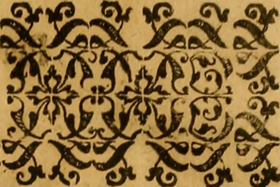 An illustration from Trattato di Christoforo Acosta Africano medico, & chirurgo della historia, natura, et virtu delle droghe medicinali, & altri semplici rarissimi, che vengono portati dalle Indie Orientali in Europa : con le figures delle piante ritratte, & disegnate dal viuo poste a' luoghi proprij ; nuouamente recato dalla Spagnuola nella nostra lingua .., 1585, leaf 56