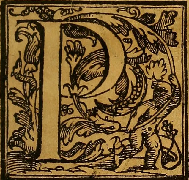 An illustration from Trattato di Christoforo Acosta Africano medico, & chirurgo della historia, natura, et virtu delle droghe medicinali, & altri semplici rarissimi, che vengono portati dalle Indie Orientali in Europa : con le figures delle piante ritratte, & disegnate dal viuo poste a' luoghi proprij ; nuouamente recato dalla Spagnuola nella nostra lingua .., 1585, leaf 56