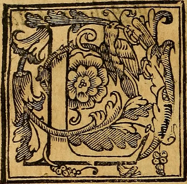 An illustration from Trattato di Christoforo Acosta Africano medico, & chirurgo della historia, natura, et virtu delle droghe medicinali, & altri semplici rarissimi, che vengono portati dalle Indie Orientali in Europa : con le figures delle piante ritratte, & disegnate dal viuo poste a' luoghi proprij ; nuouamente recato dalla Spagnuola nella nostra lingua .., 1585, leaf 59