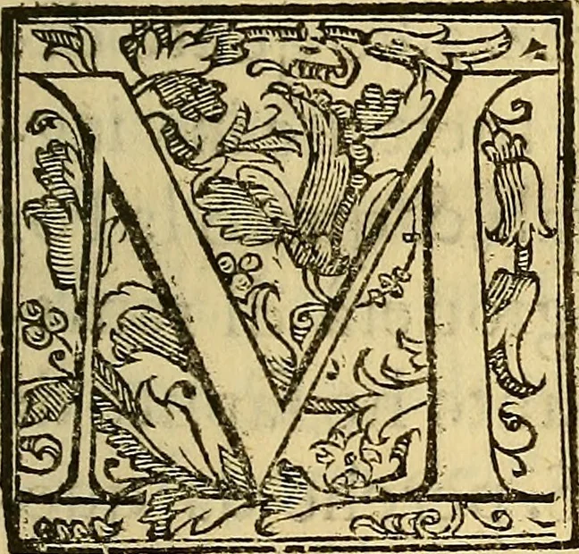 An illustration from Trattato di Christoforo Acosta Africano medico, & chirurgo della historia, natura, et virtu delle droghe medicinali, & altri semplici rarissimi, che vengono portati dalle Indie Orientali in Europa : con le figures delle piante ritratte, & disegnate dal viuo poste a' luoghi proprij ; nuouamente recato dalla Spagnuola nella nostra lingua .., 1585, leaf 6