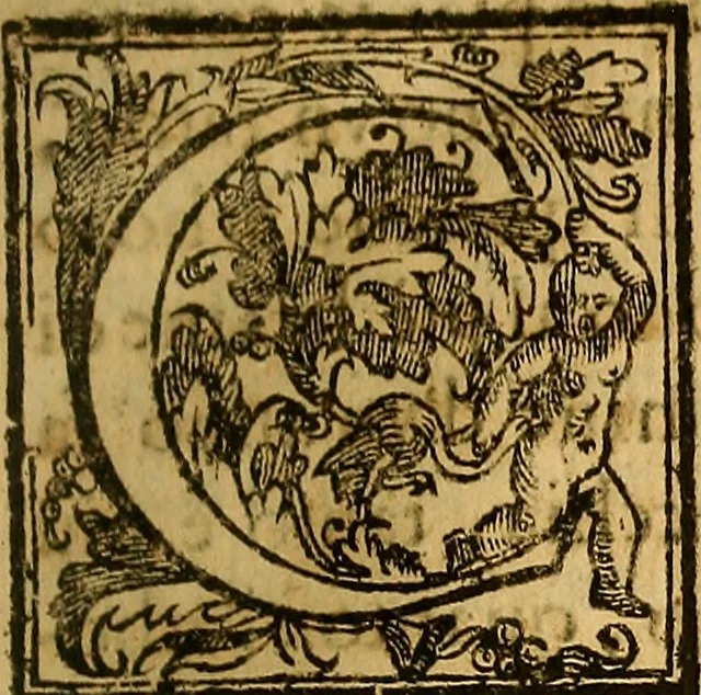 An illustration from Trattato di Christoforo Acosta Africano medico, & chirurgo della historia, natura, et virtu delle droghe medicinali, & altri semplici rarissimi, che vengono portati dalle Indie Orientali in Europa : con le figures delle piante ritratte, & disegnate dal viuo poste a' luoghi proprij ; nuouamente recato dalla Spagnuola nella nostra lingua .., 1585, leaf 72