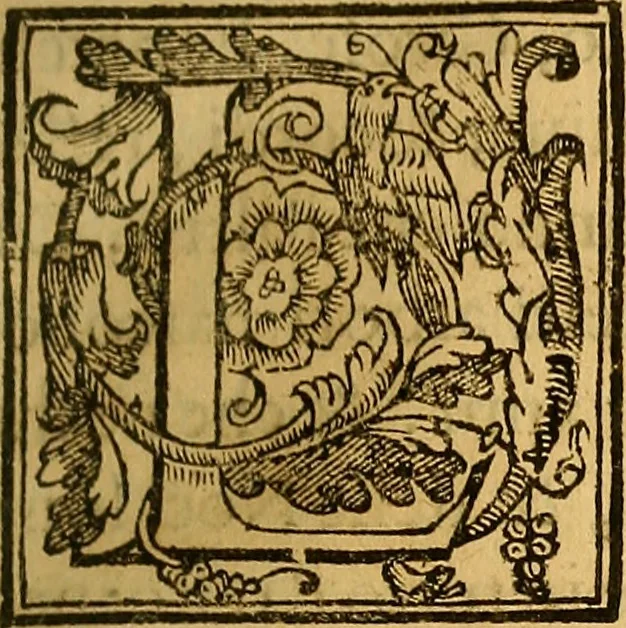 An illustration from Trattato di Christoforo Acosta Africano medico, & chirurgo della historia, natura, et virtu delle droghe medicinali, & altri semplici rarissimi, che vengono portati dalle Indie Orientali in Europa : con le figures delle piante ritratte, & disegnate dal viuo poste a' luoghi proprij ; nuouamente recato dalla Spagnuola nella nostra lingua .., 1585, leaf 80