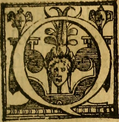 An illustration from Trattato di Christoforo Acosta Africano medico, & chirurgo della historia, natura, et virtu delle droghe medicinali, & altri semplici rarissimi, che vengono portati dalle Indie Orientali in Europa : con le figures delle piante ritratte, & disegnate dal viuo poste a' luoghi proprij ; nuouamente recato dalla Spagnuola nella nostra lingua .., 1585, leaf 84