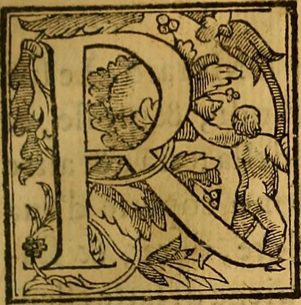 An illustration from Trattato di Christoforo Acosta Africano medico, & chirurgo della historia, natura, et virtu delle droghe medicinali, & altri semplici rarissimi, che vengono portati dalle Indie Orientali in Europa : con le figures delle piante ritratte, & disegnate dal viuo poste a' luoghi proprij ; nuouamente recato dalla Spagnuola nella nostra lingua .., 1585, leaf 88