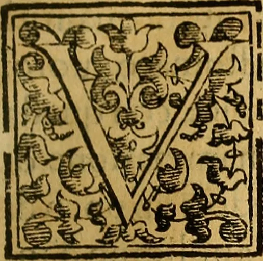 An illustration from Trattato di Christoforo Acosta Africano medico, & chirurgo della historia, natura, et virtu delle droghe medicinali, & altri semplici rarissimi, che vengono portati dalle Indie Orientali in Europa : con le figures delle piante ritratte, & disegnate dal viuo poste a' luoghi proprij ; nuouamente recato dalla Spagnuola nella nostra lingua .., 1585, leaf 98