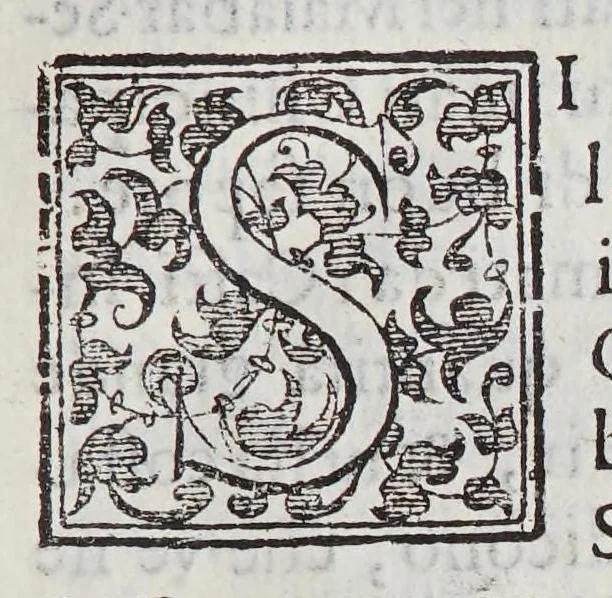 An illustration from Trattato di Christoforo Acosta africano medico, & chirurgo della historia, natura, et virtu delle droghe medicinali, & altri semplici rarissimi, che vengono portati dalle Indie Orientali in Europa, : con le figure delle piante ritratte, & disegnate dal viuo poste a'luoghi proprij., 1585, leaf 113