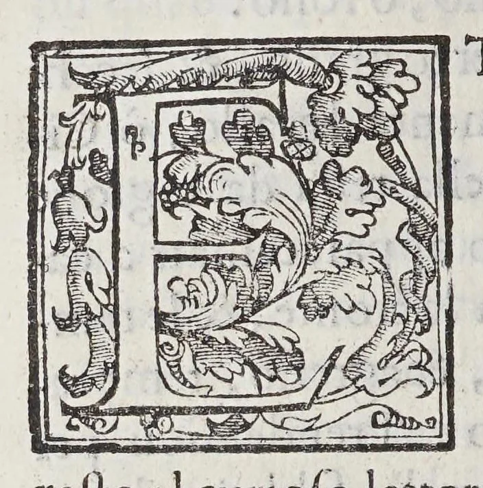 An illustration from Trattato di Christoforo Acosta africano medico, & chirurgo della historia, natura, et virtu delle droghe medicinali, & altri semplici rarissimi, che vengono portati dalle Indie Orientali in Europa, : con le figure delle piante ritratte, & disegnate dal viuo poste a'luoghi proprij., 1585, leaf 188