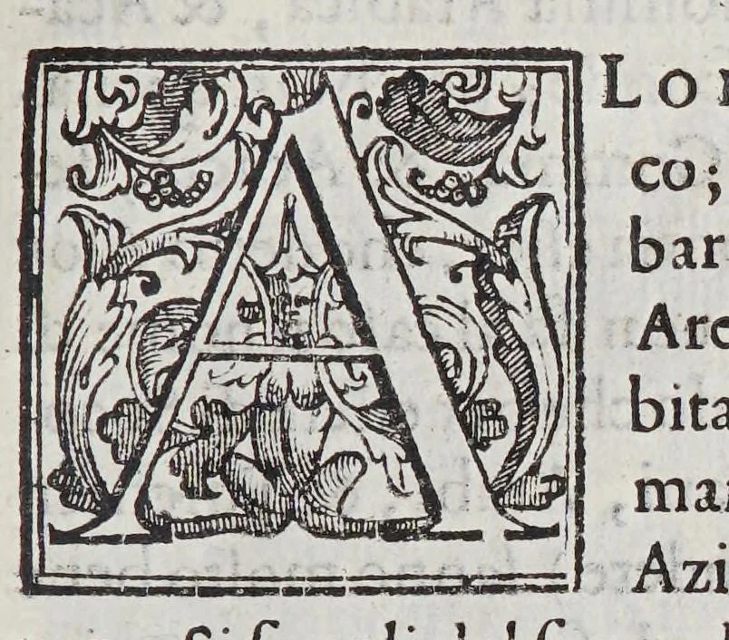 An illustration from Trattato di Christoforo Acosta africano medico, & chirurgo della historia, natura, et virtu delle droghe medicinali, & altri semplici rarissimi, che vengono portati dalle Indie Orientali in Europa, : con le figure delle piante ritratte, & disegnate dal viuo poste a'luoghi proprij., 1585, leaf 201