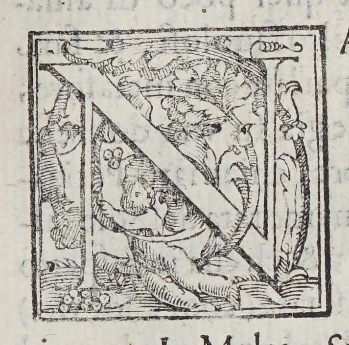 An illustration from Trattato di Christoforo Acosta africano medico, & chirurgo della historia, natura, et virtu delle droghe medicinali, & altri semplici rarissimi, che vengono portati dalle Indie Orientali in Europa, : con le figure delle piante ritratte, & disegnate dal viuo poste a'luoghi proprij., 1585, leaf 221