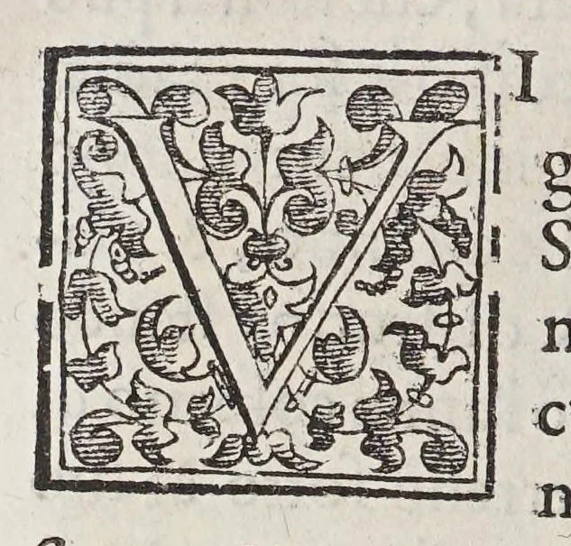 An illustration from Trattato di Christoforo Acosta africano medico, & chirurgo della historia, natura, et virtu delle droghe medicinali, & altri semplici rarissimi, che vengono portati dalle Indie Orientali in Europa, : con le figure delle piante ritratte, & disegnate dal viuo poste a'luoghi proprij., 1585, leaf 262