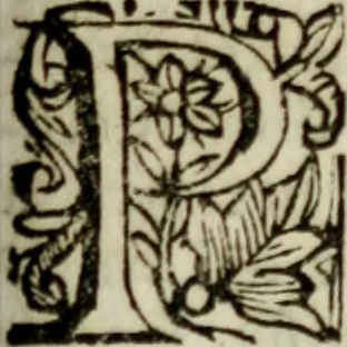An illustration from Trattato di Fabio Albergati ... del modo di ridvrre à pace l'inimicitie priuate. In questa terza inpressione riueduto, & accresciuto di molte degne cose dal proprio autore .., 1621, leaf 110