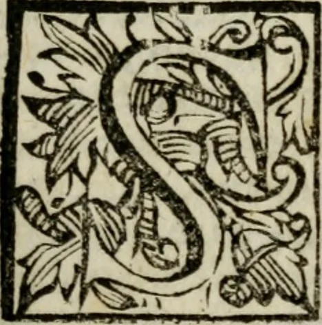 An illustration from Trattato di Fabio Albergati ... del modo di ridvrre à pace l'inimicitie priuate. In questa terza inpressione riueduto, & accresciuto di molte degne cose dal proprio autore .., 1621, leaf 12