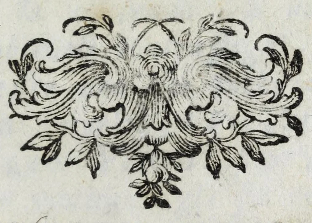 An illustration from Trattato di miniatura : per imparare facilmente a dipingere senza maestro : e la dichiarazione di molti segreti per fare i piu bei colori : colla maniera di far l'oro brunito, l'oro in conchiglie, e i a vernice della China : quelli, che attendono, allo studio delle fortificazioni, impareranno qui a miniare ogni sorte di pianta e di paese, 1771, leaf 3