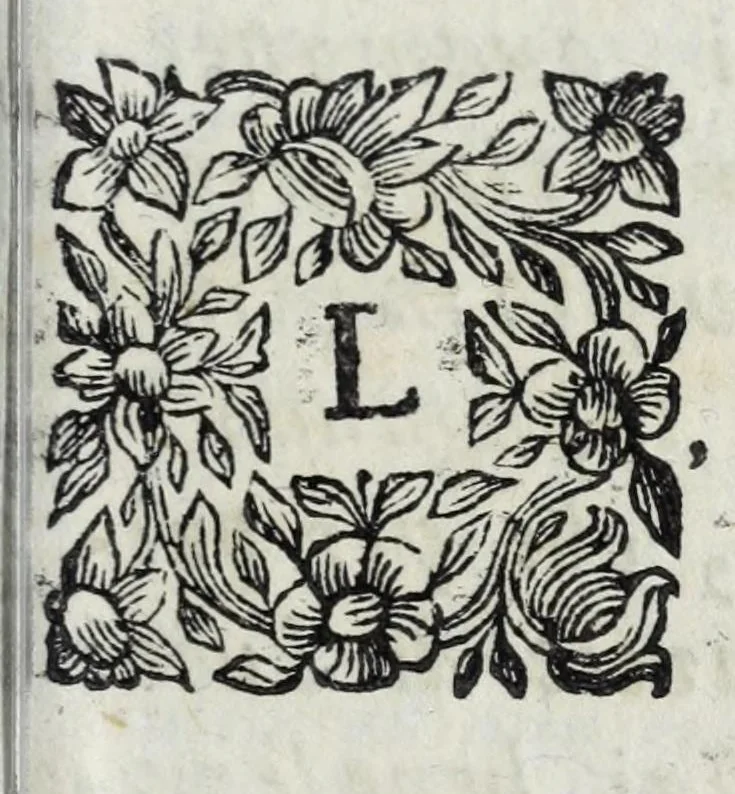An illustration from Trattato di miniatura : per imparare facilmente a dipingere senza maestro : e la dichiarazione di molti segreti per fare i piu bei colori : colla maniera di far l'oro brunito, l'oro in conchiglie, e i a vernice della China : quelli, che attendono, allo studio delle fortificazioni, impareranno qui a miniare ogni sorte di pianta e di paese, 1771, leaf 5