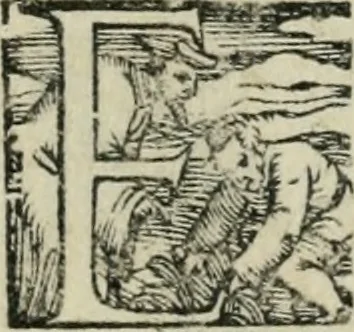 An illustration from Trattato di scientia d'arme : con vn dialogo di filosofia, 1553, leaf 114