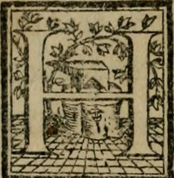 An illustration from Trattato di scientia d'arme : con vn dialogo di filosofia, 1553, leaf 135