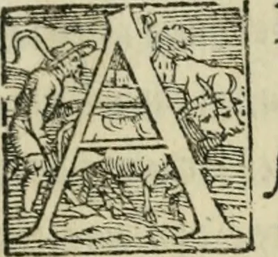 An illustration from Trattato di scientia d'arme : con vn dialogo di filosofia, 1553, leaf 138