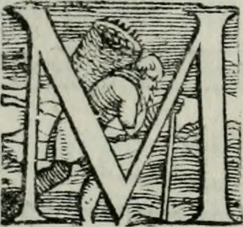 An illustration from Trattato di scientia d'arme : con vn dialogo di filosofia, 1553, leaf 49