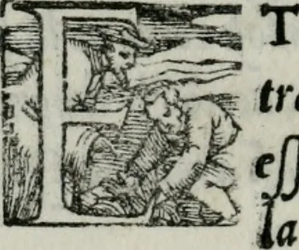 An illustration from Trattato di scientia d'arme : con vn dialogo di filosofia, 1553, leaf 55