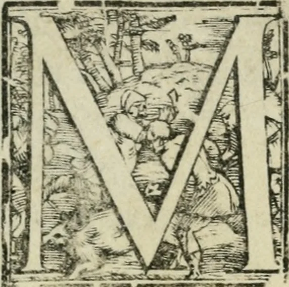 An illustration from Trattato di scientia d'arme : con vn dialogo di filosofia, 1553, leaf 8