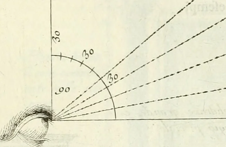 An illustration from Trattato di Teofilo Gallaccini sopra gli errori degli architetti, 1767, leaf 50