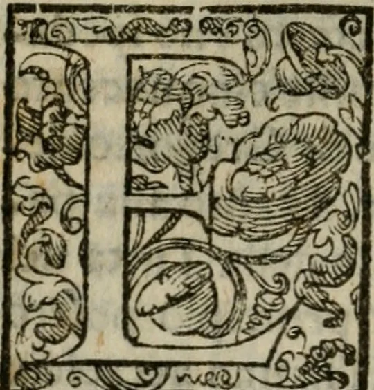 An illustration from Trattato di tutte l'opere pie dell'alma citta di Roma : nel quale si descriuono tutti gli spedali, confraternite, & altri luoghi pij de quale tutti o la maggior parte hanno facoltà di communicare i loro priuilegi & indulgenze & si dichiara da chi sieno state instituite dette opere di che tempo, & quello che fanno & molte altre cose curiose da intendersi, 1601, leaf 121