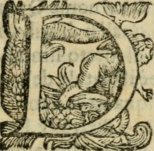 An illustration from Trattato di tutte l'opere pie dell'alma citta di Roma : nel quale si descriuono tutti gli spedali, confraternite, & altri luoghi pij de quale tutti o la maggior parte hanno facoltà di communicare i loro priuilegi & indulgenze & si dichiara da chi sieno state instituite dette opere di che tempo, & quello che fanno & molte altre cose curiose da intendersi, 1601, leaf 14