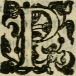An illustration from Trattato di tutte l'opere pie dell'alma citta di Roma : nel quale si descriuono tutti gli spedali, confraternite, & altri luoghi pij de quale tutti o la maggior parte hanno facoltà di communicare i loro priuilegi & indulgenze & si dichiara da chi sieno state instituite dette opere di che tempo, & quello che fanno & molte altre cose curiose da intendersi, 1601, leaf 188