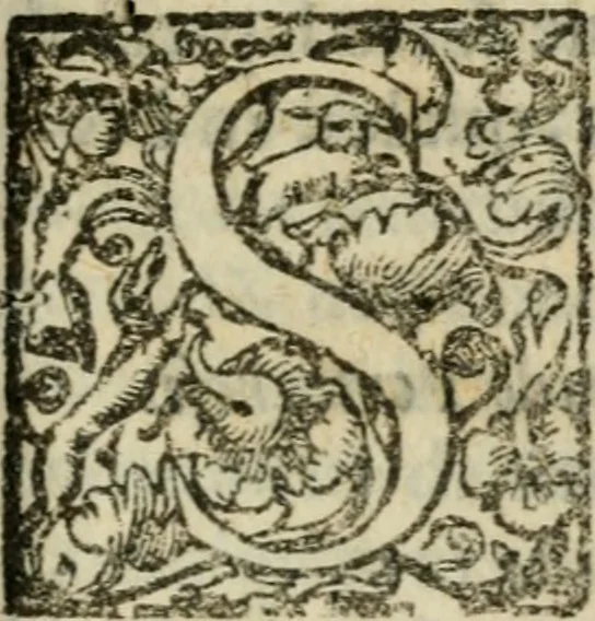 An illustration from Trattato di tutte l'opere pie dell'alma citta di Roma : nel quale si descriuono tutti gli spedali, confraternite, & altri luoghi pij de quale tutti o la maggior parte hanno facoltà di communicare i loro priuilegi & indulgenze & si dichiara da chi sieno state instituite dette opere di che tempo, & quello che fanno & molte altre cose curiose da intendersi, 1601, leaf 320