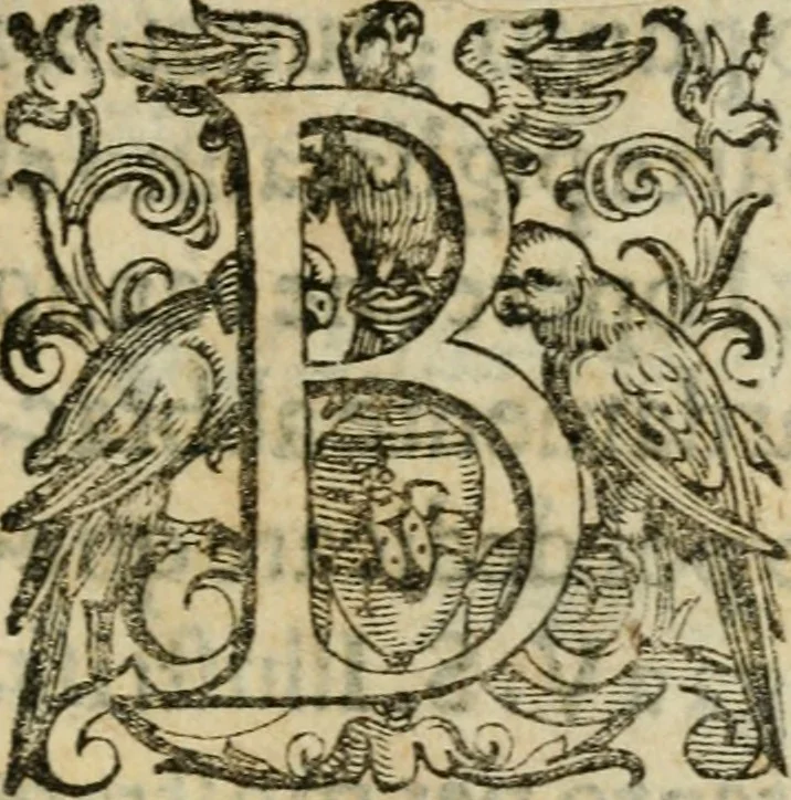 An illustration from Trattato di tutte l'opere pie dell'alma citta di Roma : nel quale si descriuono tutti gli spedali, confraternite, & altri luoghi pij de quale tutti o la maggior parte hanno facoltà di communicare i loro priuilegi & indulgenze & si dichiara da chi sieno state instituite dette opere di che tempo, & quello che fanno & molte altre cose curiose da intendersi, 1601, leaf 6