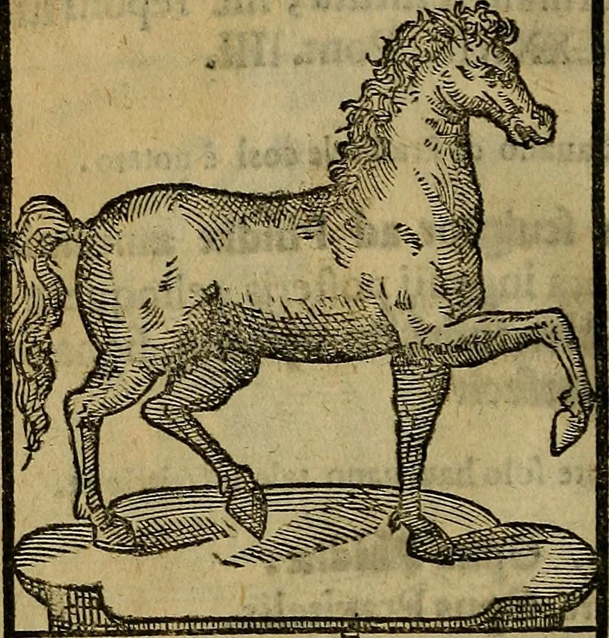 An illustration from Trattato nuouo delle cose maravigliose dell'alma città di Roma : ornato de molte figure, nel quale si discorre de 300. & più chiese, 1610, leaf 363