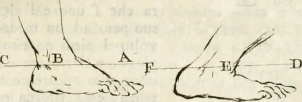 An illustration from Trattato della pittura, 1792, leaf 130