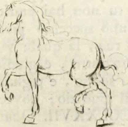 An illustration from Trattato della pittura, 1792, leaf 148