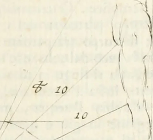 An illustration from Trattato della pittura, 1792, leaf 156
