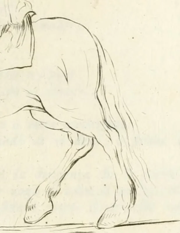 An illustration from Trattato della pittura, 1792, leaf 178