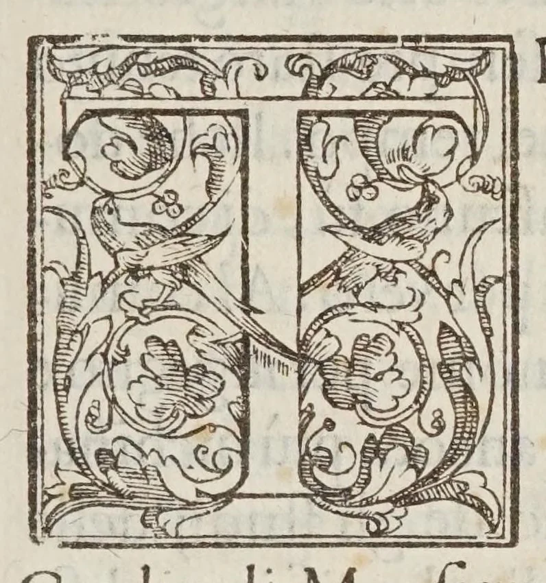 An illustration from Trattato vtilissimo et particolarissimo del flusso & riflusso del mare, 1589, leaf 7