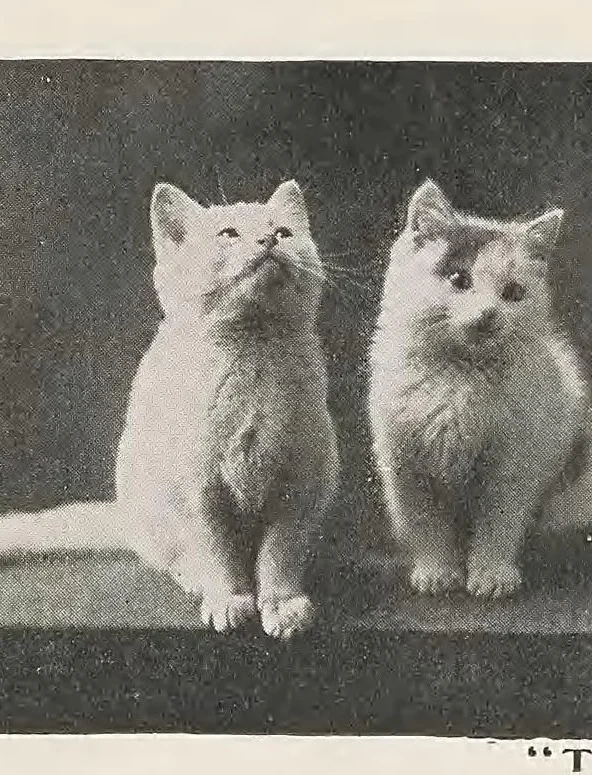 An illustration from The Traveller, 1902, leaf 95