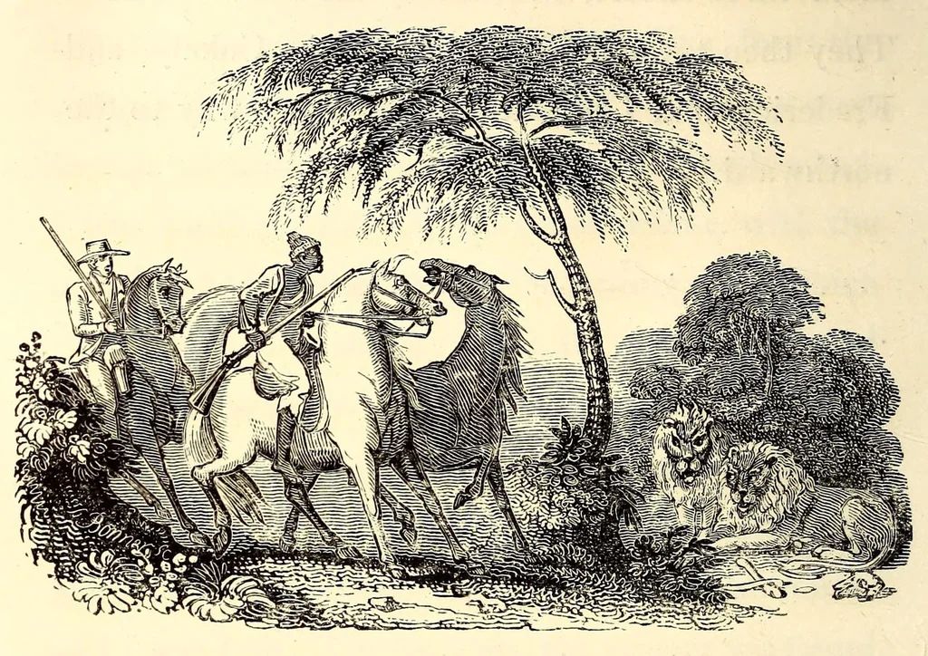 An illustration from Travels and adventures in Southern Africa, 1827, leaf 160