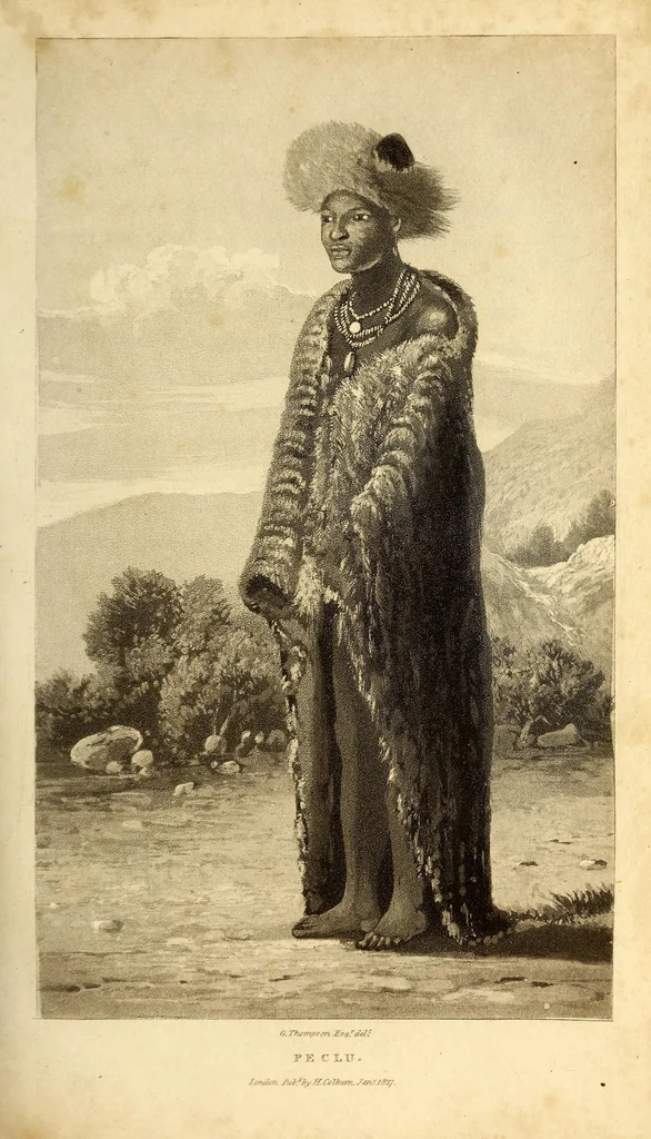 An illustration from Travels and adventures in Southern Africa, 1827, leaf 217